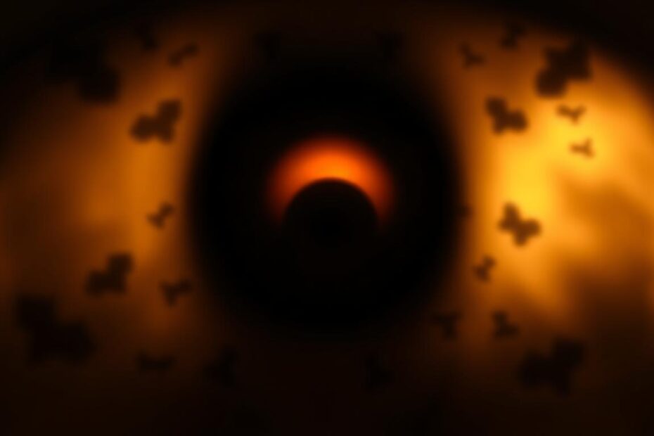 Jak widzi osoba z jaskrą